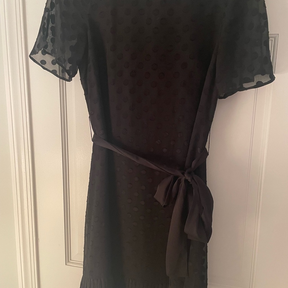 Ann Taylor Black Sheer Polka Dot Mini Dress